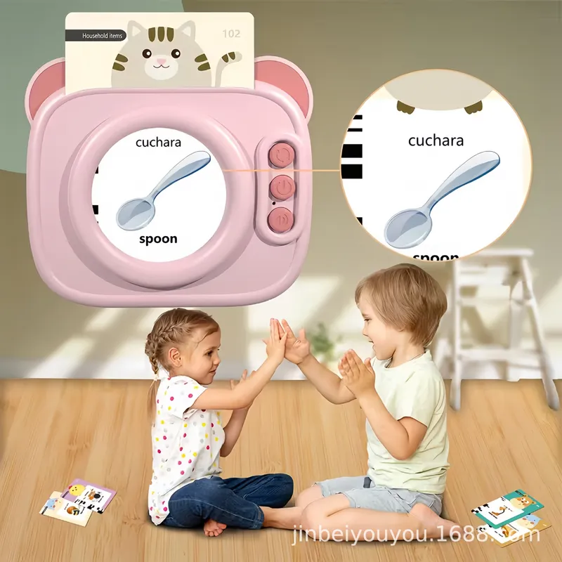Early Education Flash Card Rea - огляд і ціна Educational Flash Card