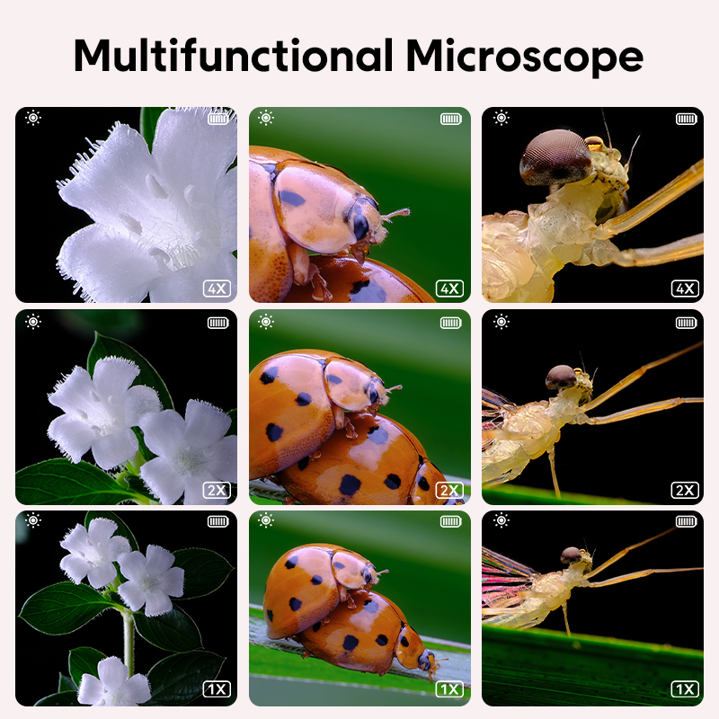 Mini Kids Optical Microscope W - огляд і ціна Kids Toys Videos